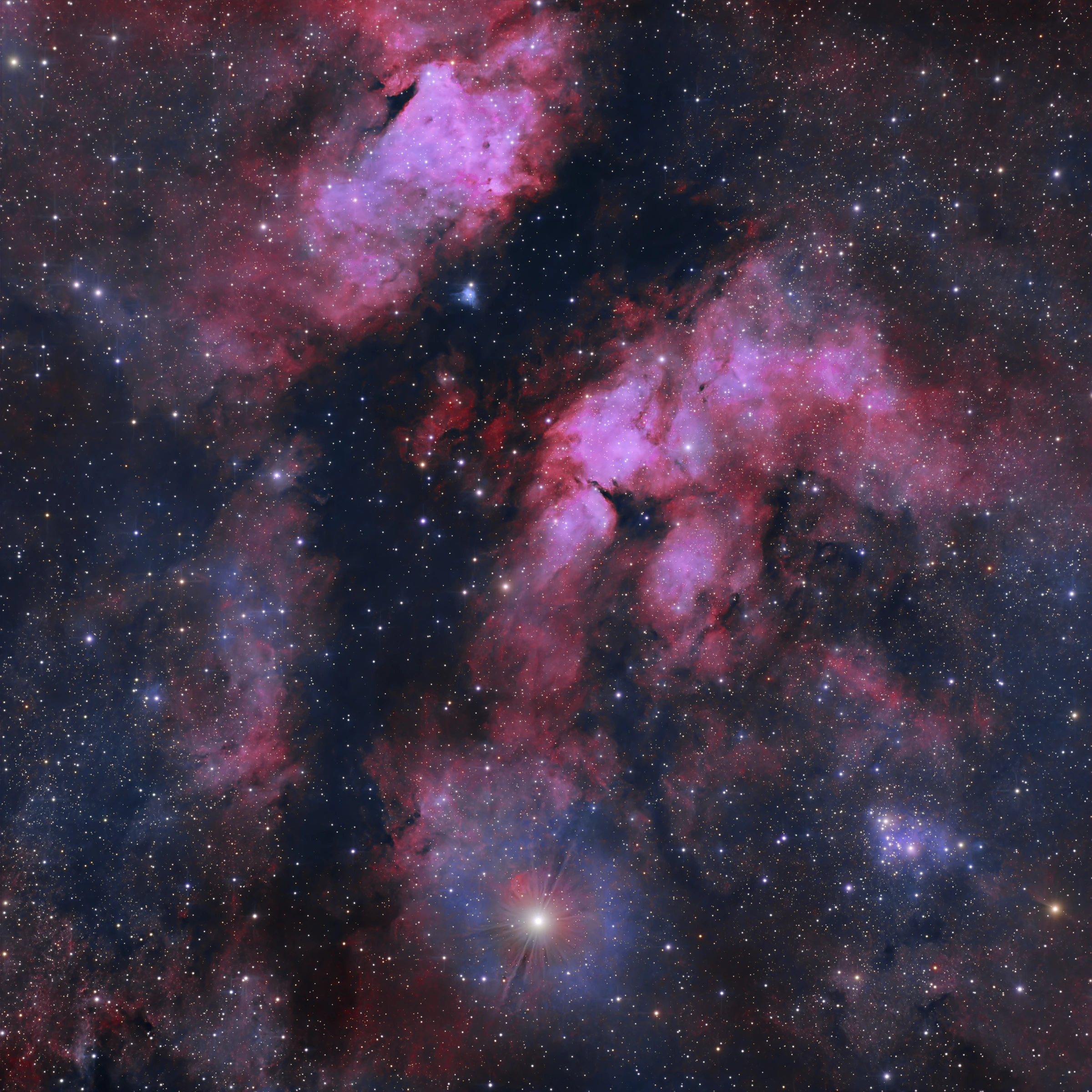 180 x 60s exposures of IC1318, processed in a HOO style.